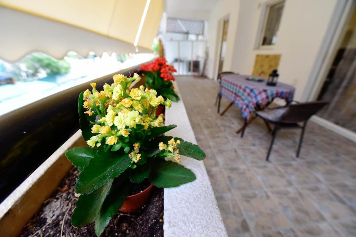 Athens Beauty 5 Minutes From Attractions Apartment ภายนอก รูปภาพ